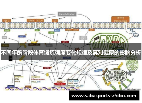 不同年龄阶段体育锻炼强度变化规律及其对健康的影响分析